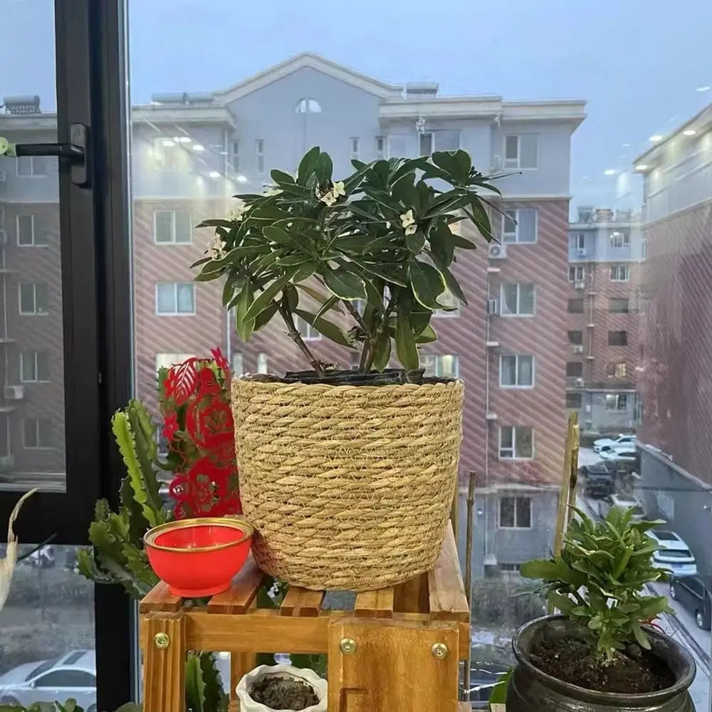 1 pz per giardino terrazze vaso di fiori cestino in rattan paglia fioriera cestino erba intrecciata vaso di fiori mobili decorazione mini/S/M/L