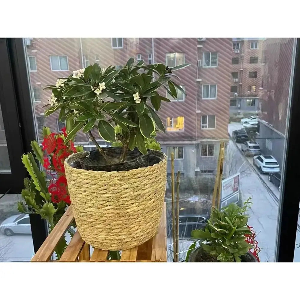 1 pz per giardino terrazze vaso di fiori cestino in rattan paglia fioriera cestino erba intrecciata vaso di fiori mobili decorazione mini/S/M/L