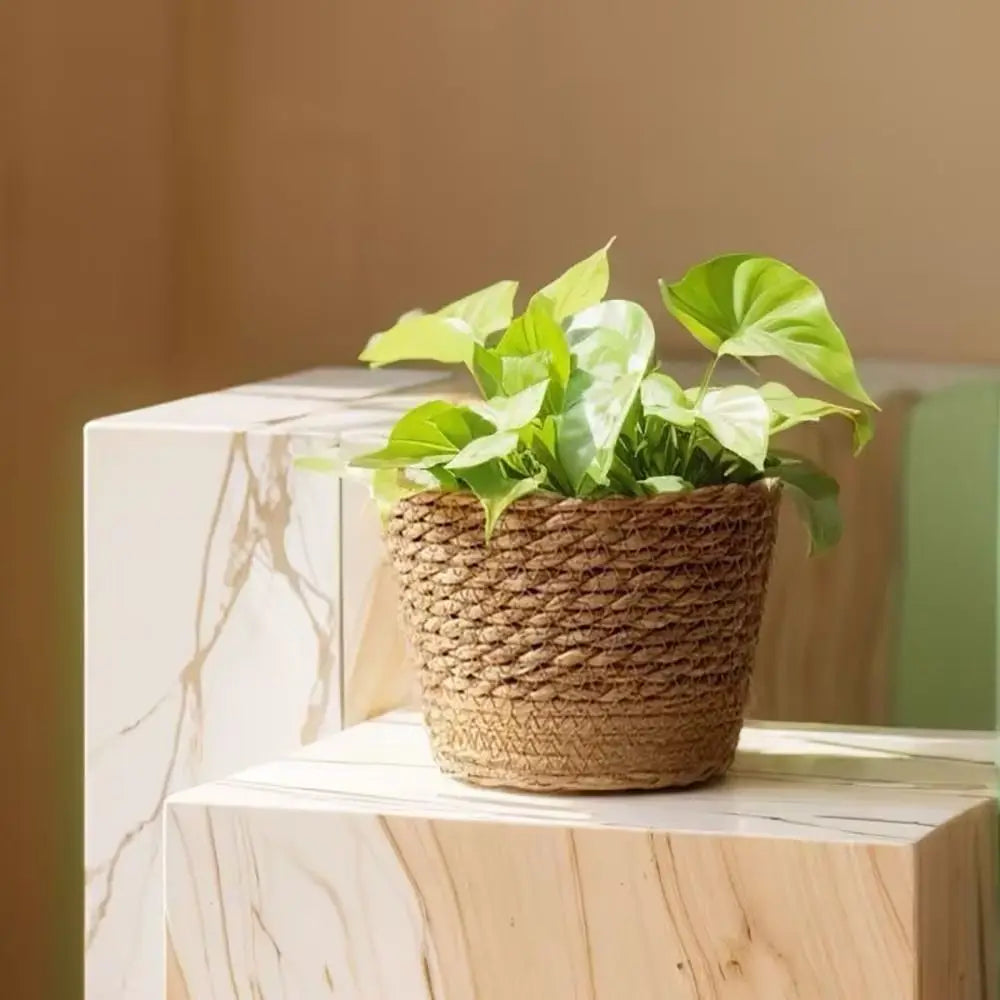 1 pz per giardino terrazze vaso di fiori cestino in rattan paglia fioriera cestino erba intrecciata vaso di fiori mobili decorazione mini/S/M/L