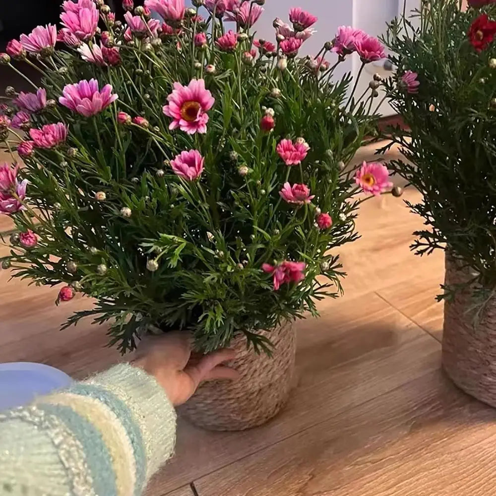 1 pz per giardino terrazze vaso di fiori cestino in rattan paglia fioriera cestino erba intrecciata vaso di fiori mobili decorazione mini/S/M/L
