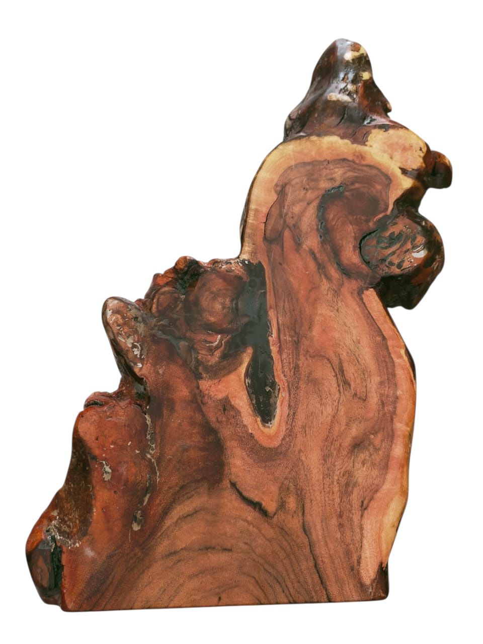 Tavolo angolare in legno di acacia – bordo piatto da 40 cm | Forma naturale, vestibilità intelligente 