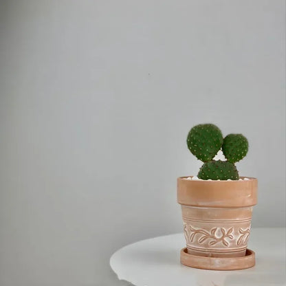 Vaso per fiori in ceramica rossa, vaso per piante in terracotta, fioriere in argilla per cactus e piante grasse, vasi da giardino, forniture per il giardino