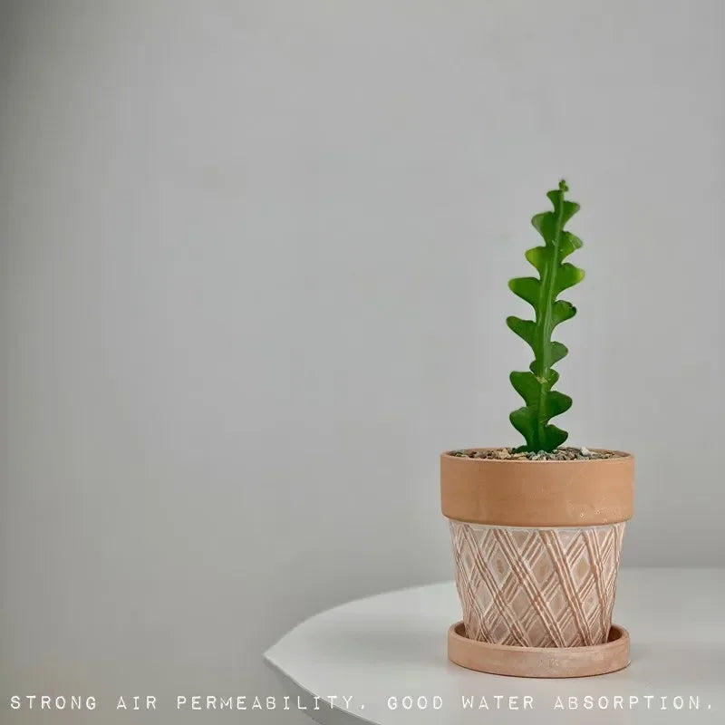 Vaso per fiori in ceramica rossa, vaso per piante in terracotta, fioriere in argilla per cactus e piante grasse, vasi da giardino, forniture per il giardino